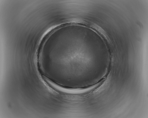 X0000115691024200911121303