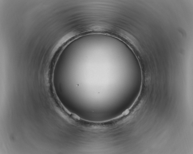 X0000115691026200911121303