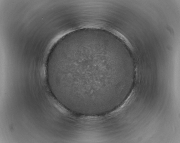 X0000115691027200911121303
