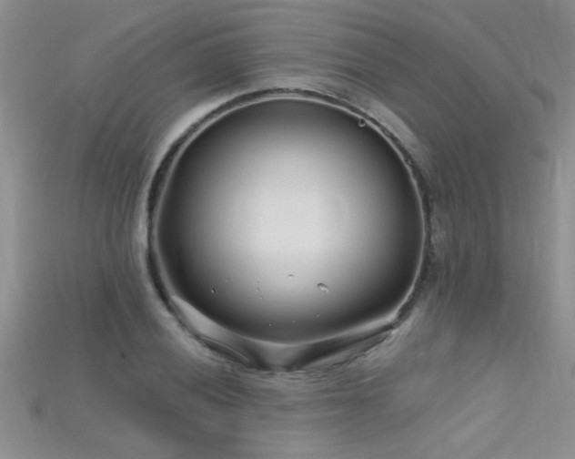 X0000115691028200911121303