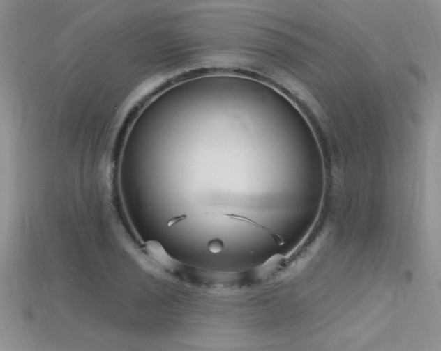 X0000115691029200911121303
