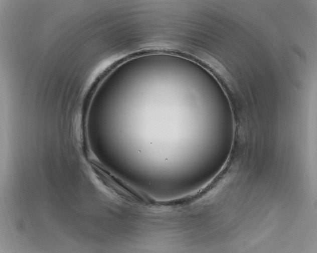 X0000115691030200911121303