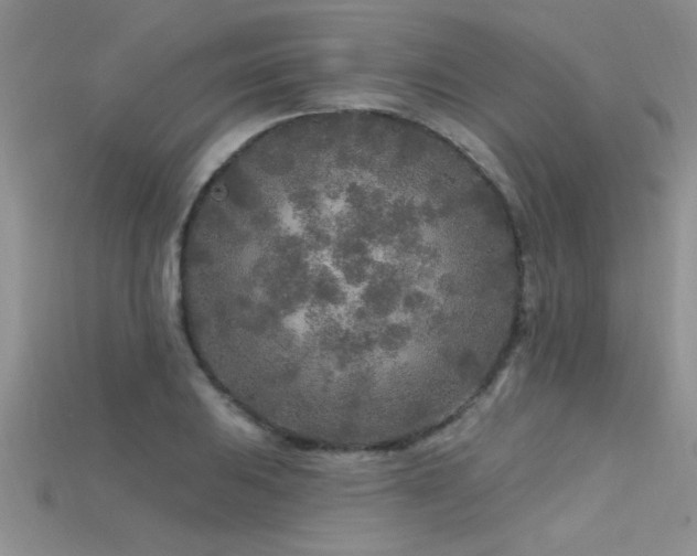 X0000115691031200911121303