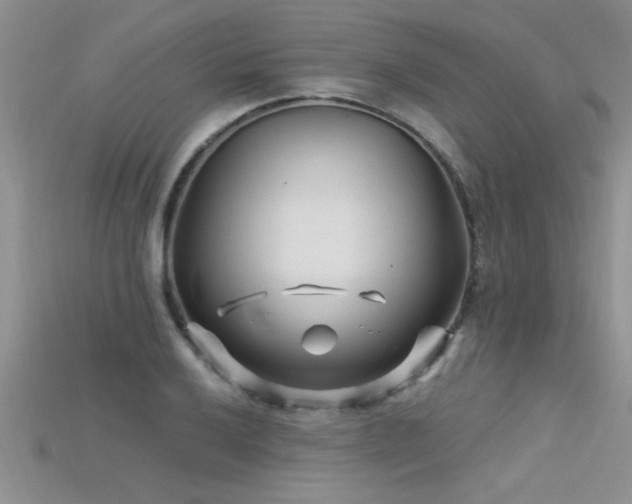 X0000115691032200911121303