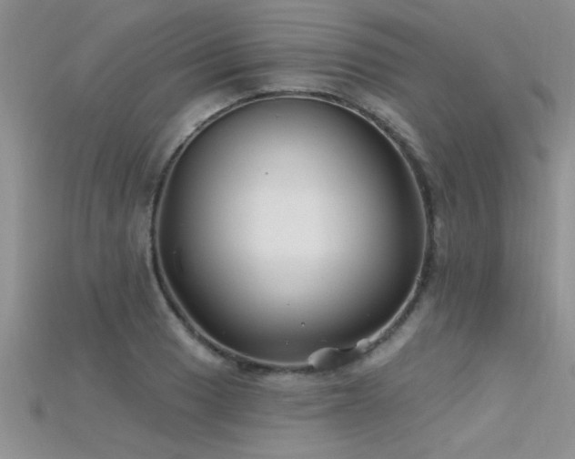 X0000115691033200911121303