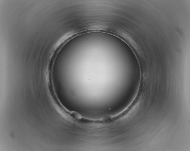 X0000115691034200911121303