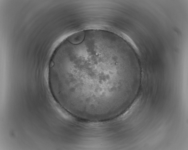X0000115691035200911121303