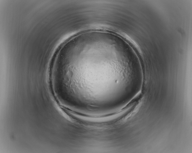 X0000115691037200911121303