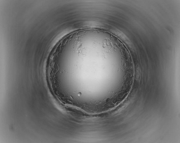 X0000115691039200911121303