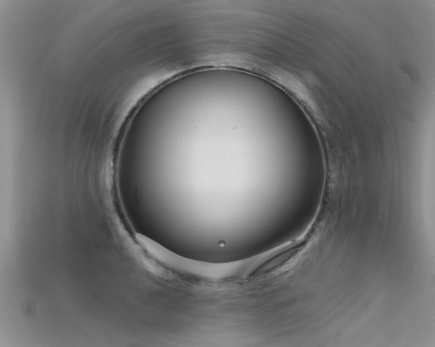 X0000115691040200911121303