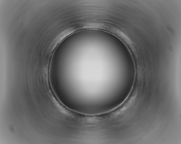 X0000115691041200911121303