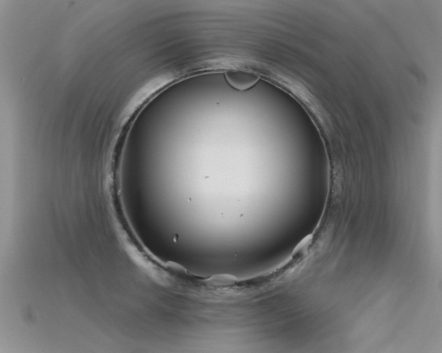X0000115691042200911121303