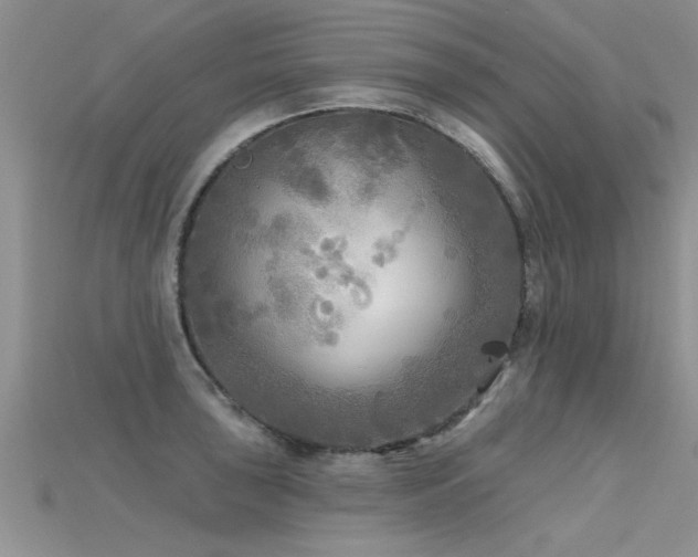 X0000115691043200911121304