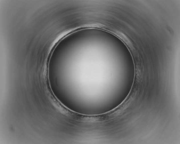 X0000115691044200911121304