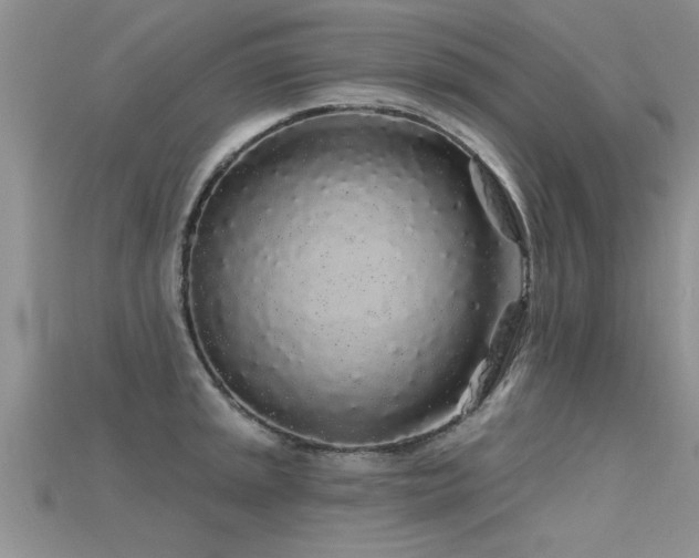 X0000115691045200911121304