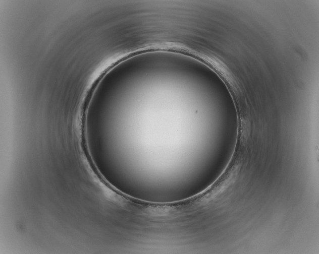 X0000115691046200911121304