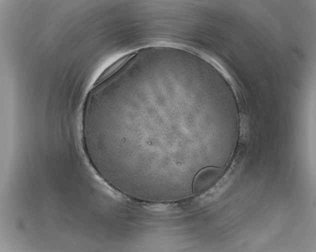 X0000115691048200911121304