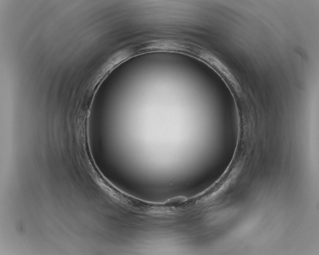 X0000115691049200911121304