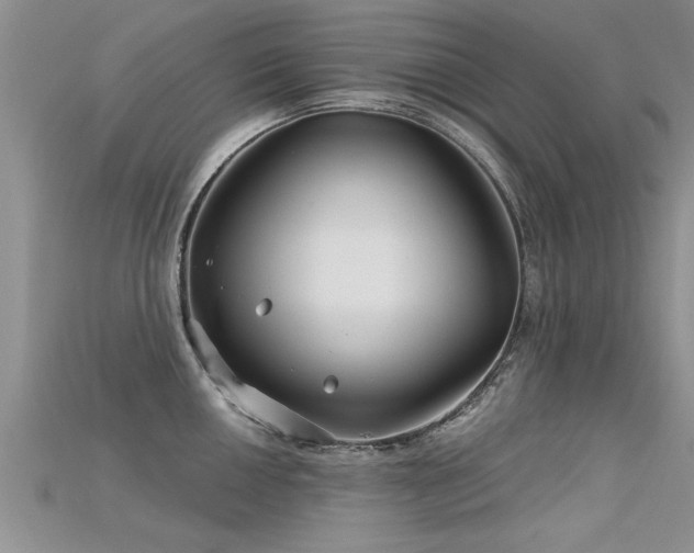 X0000115691050200911121304
