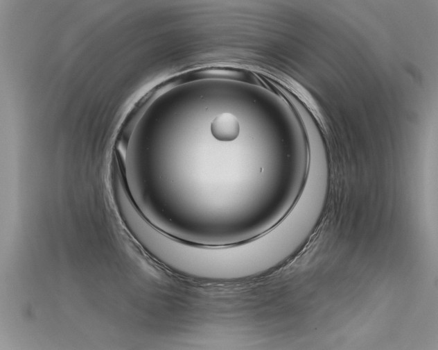 X0000115691051200911121304