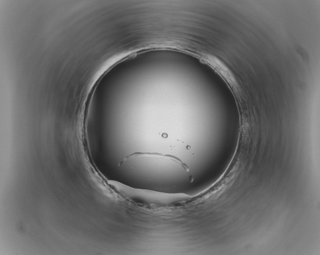 X0000115691052200911121304