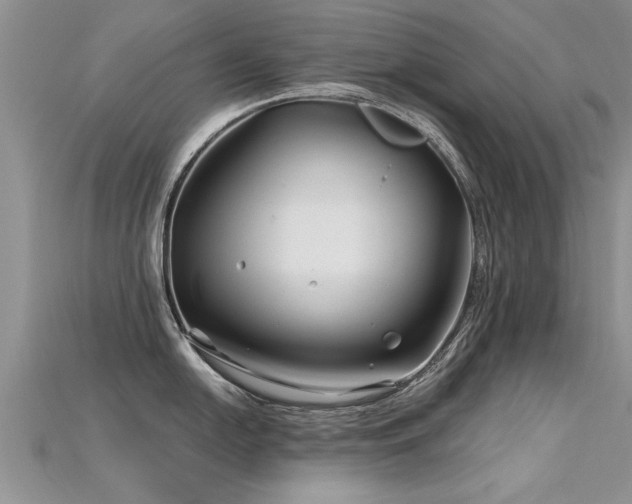 X0000115691054200911121304
