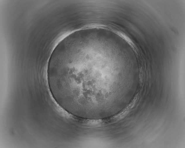 X0000115691055200911121304