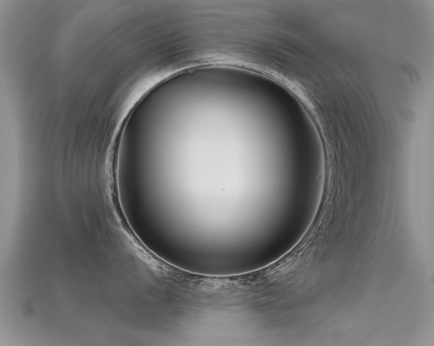 X0000115691056200911121304