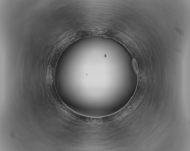 X0000115691058200911121303