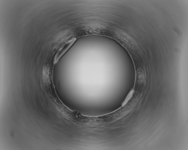 X0000115691060200911121303