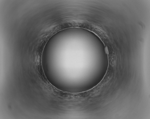 X0000115691061200911121303