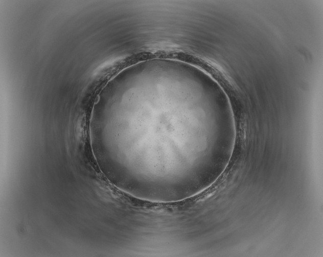 X0000115691063200911121303