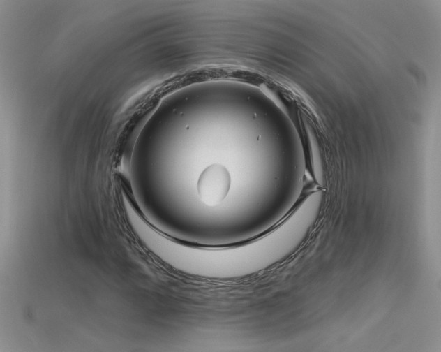 X0000115691064200911121303
