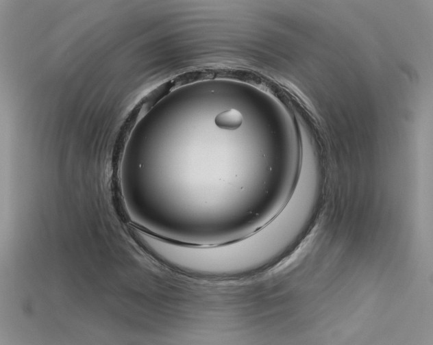 X0000115691065200911121303