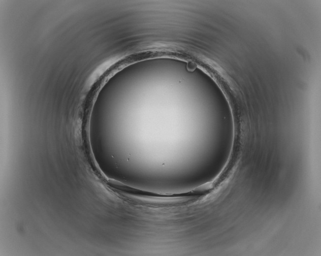 X0000115691066200911121303