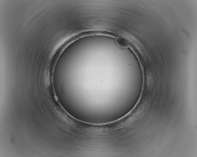 X0000115691069200911121303