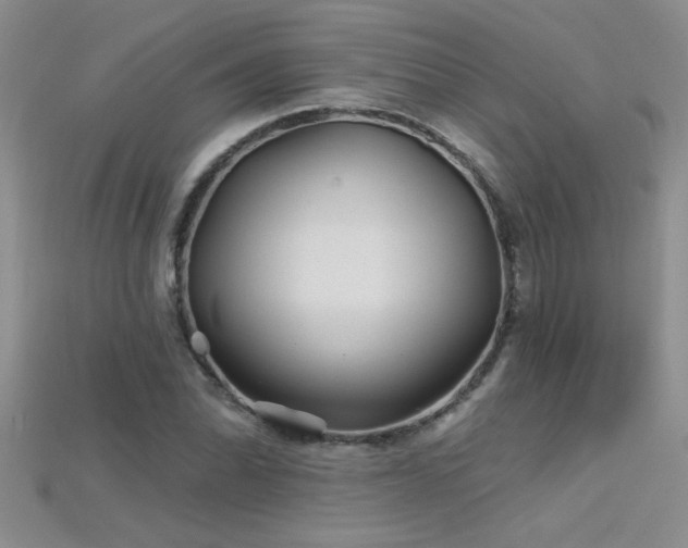 X0000115691070200911121303