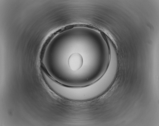 X0000115691072200911121303