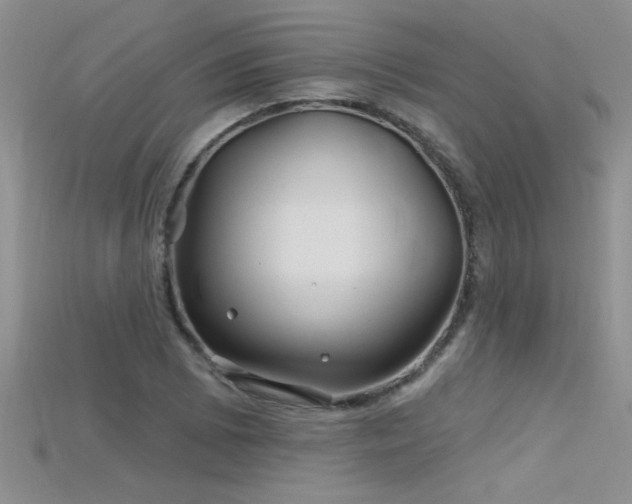 X0000115691073200911121303