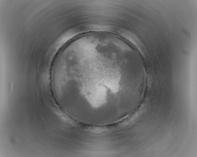 X0000115691074200911121303