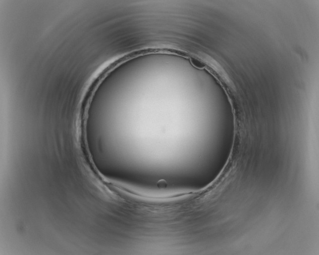 X0000115691076200911121303