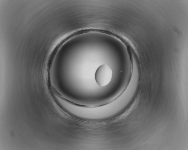 X0000115691077200911121303