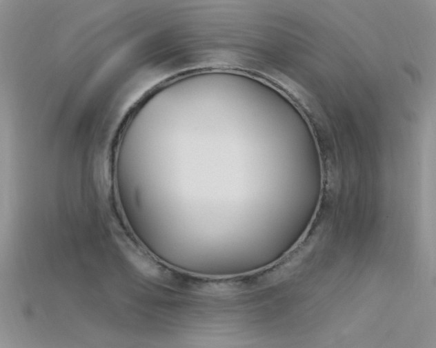 X0000115691078200911121303