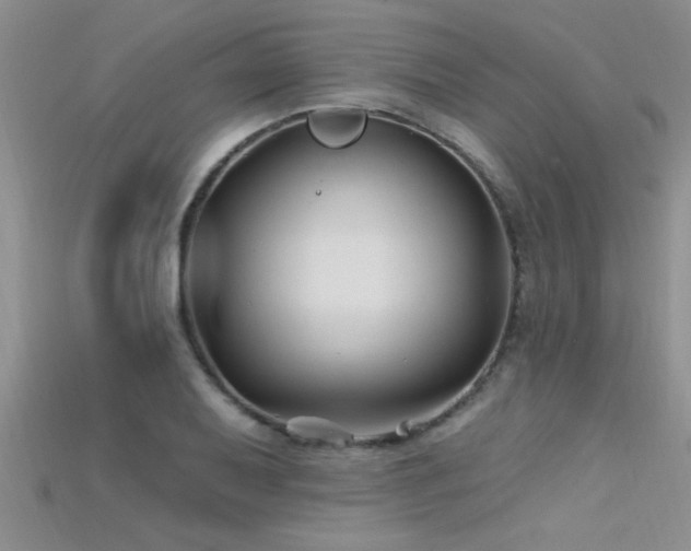 X0000115691079200911121303