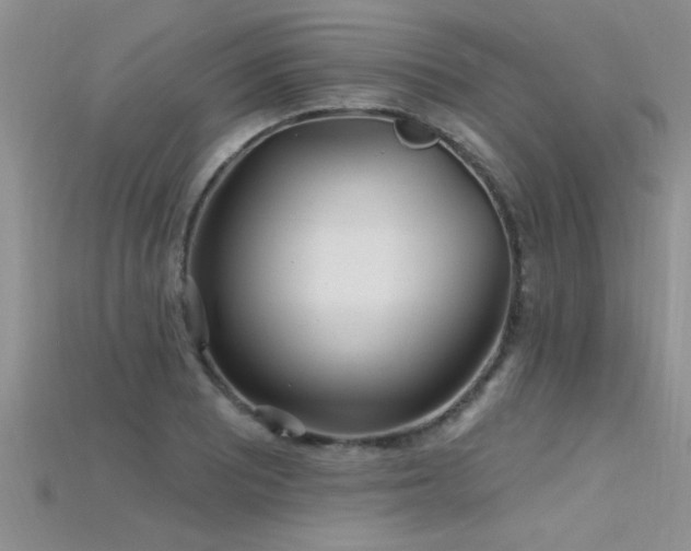 X0000115691081200911121303