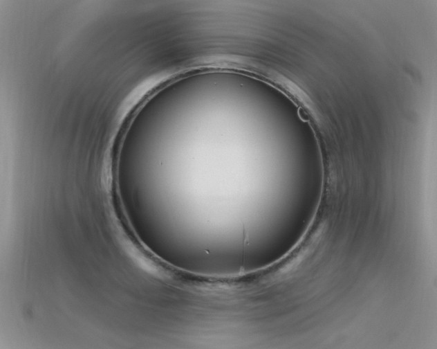 X0000115691082200911121303