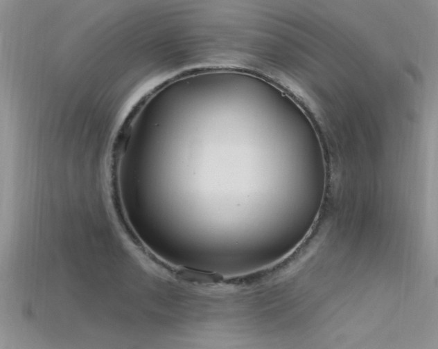 X0000115691085200911121303