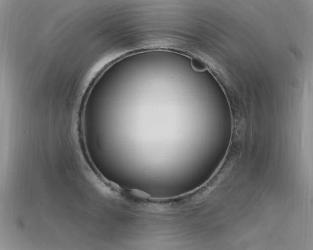 X0000115691086200911121303