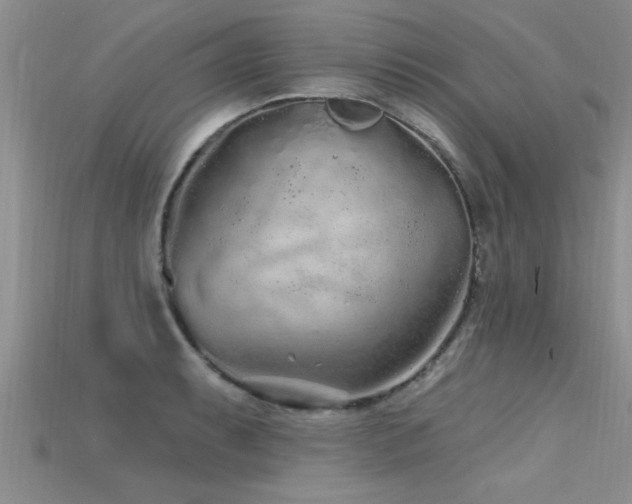 X0000115691087200911121303