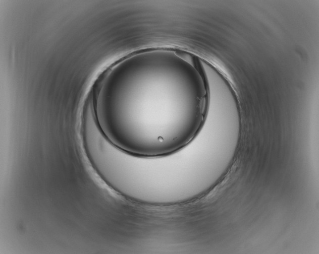 X0000115691088200911121302